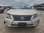 2013 Lexus Rx 350 Tan vin: 2T2ZK1BA9DC098367