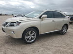 2013 Lexus Rx 350 Tan vin: 2T2ZK1BA9DC098367