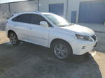 2013 Lexus Rx 350 White vin: 2T2ZK1BA9DC101364