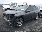 2019 Toyota Rav4 Xle Premium Серый vin: 2T3A1RFV2KW048347