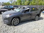 2021 Toyota Rav4 Xle Premium Gray vin: 2T3A1RFV8MC188214