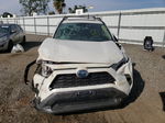 2021 Toyota Rav4 Xle Premium White vin: 2T3B6RFV5MW025900