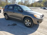 2010 Toyota Rav4  Tan vin: 2T3BF4DV0AW039351