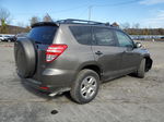 2010 Toyota Rav4  Brown vin: 2T3BF4DV2AW054630