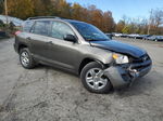 2010 Toyota Rav4  Brown vin: 2T3BF4DV2AW054630