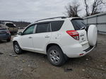 2010 Toyota Rav4  White vin: 2T3BF4DV3AW059643