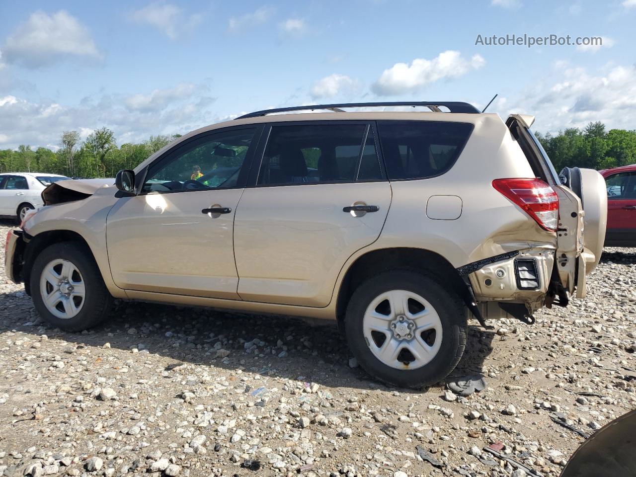 2010 Toyota Rav4  Желто-коричневый vin: 2T3BF4DV5AW024411