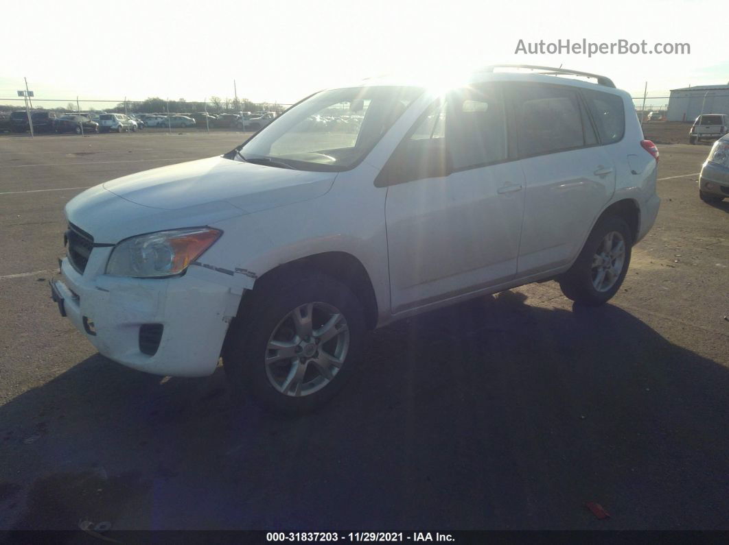 2011 Toyota Rav4   White vin: 2T3BF4DV5BW122176