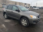 2010 Toyota Rav4  Tan vin: 2T3BF4DV8AW052882