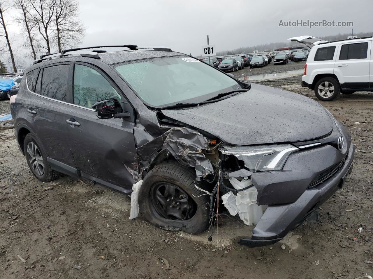 2016 Toyota Rav4 Le Charcoal vin: 2T3BFREV4GW536293