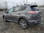 2016 Toyota Rav4 Le Charcoal vin: 2T3BFREV4GW536293