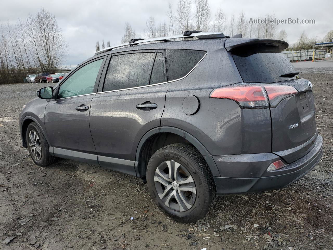 2016 Toyota Rav4 Le Charcoal vin: 2T3BFREV4GW536293