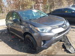 2017 Toyota Rav4 Le Gray vin: 2T3BFREV5HW602075