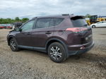 2018 Toyota Rav4 Le Purple vin: 2T3BFREV7JW728816