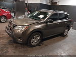 2015 Toyota Rav4 Le Gray vin: 2T3BFREV8FW345619