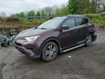 2016 Toyota Rav4 Le Purple vin: 2T3BFREVXGW440524