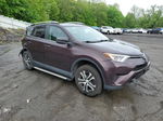 2016 Toyota Rav4 Le Фиолетовый vin: 2T3BFREVXGW440524