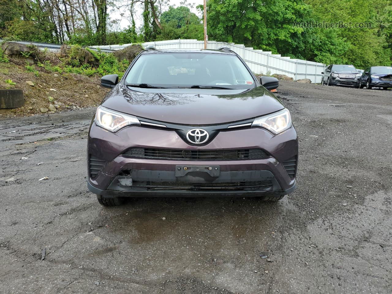 2016 Toyota Rav4 Le Фиолетовый vin: 2T3BFREVXGW440524