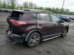 2016 Toyota Rav4 Le Purple vin: 2T3BFREVXGW440524