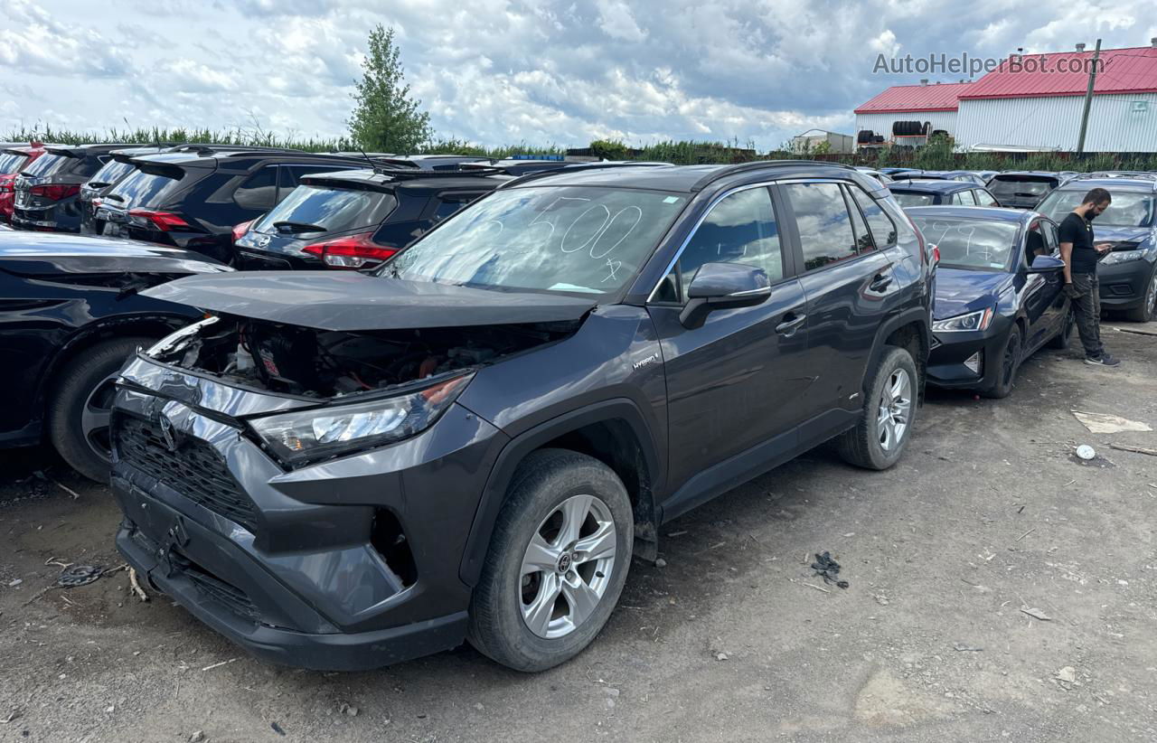 2021 Toyota Rav4 Le Gray vin: 2T3BWRFV4MW111148