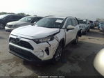 2019 Toyota Rav4 Xle Premium Белый vin: 2T3C1RFV5KW034855