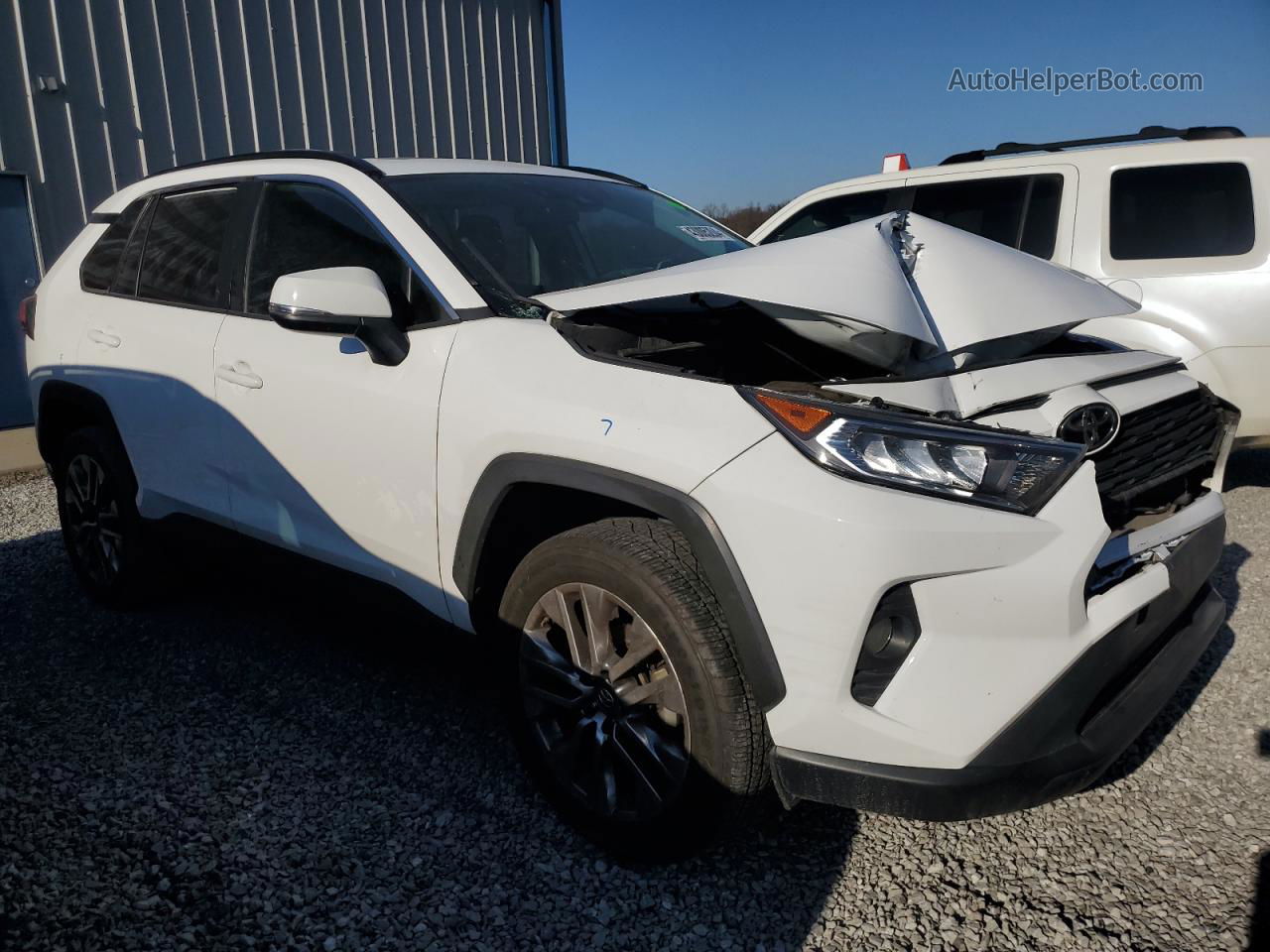 2019 Toyota Rav4 Xle Premium White vin: 2T3C1RFV6KC018228