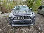 2019 Toyota Rav4 Limited Gray vin: 2T3D1RFV8KW037432