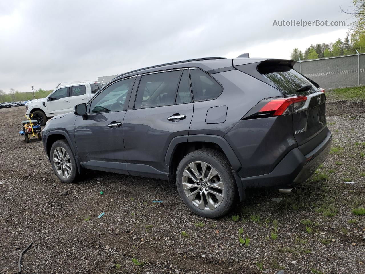 2019 Toyota Rav4 Limited Gray vin: 2T3D1RFV8KW037432