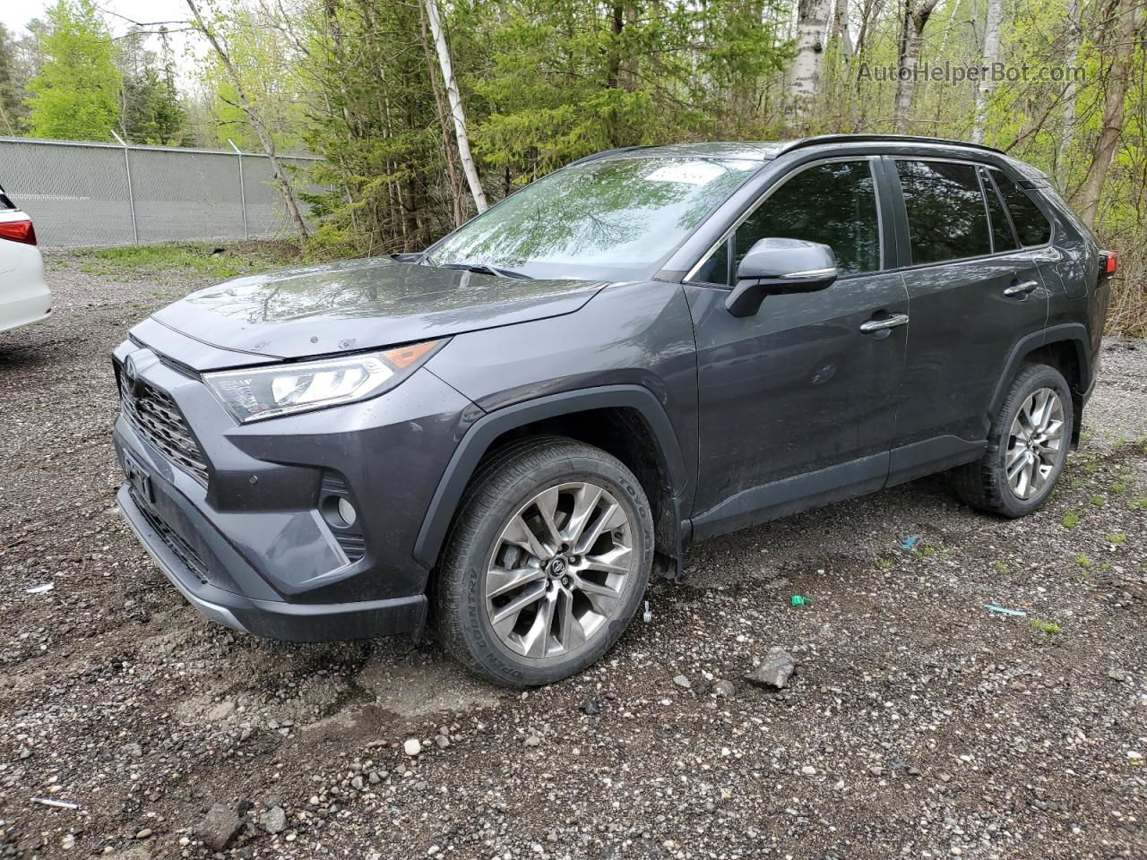 2019 Toyota Rav4 Limited Gray vin: 2T3D1RFV8KW037432