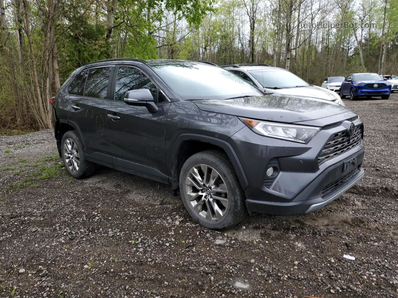 2019 Toyota Rav4 Limited Gray vin: 2T3D1RFV8KW037432