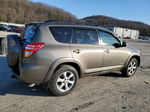 2010 Toyota Rav4 Limited Brown vin: 2T3DF4DV2AW065023