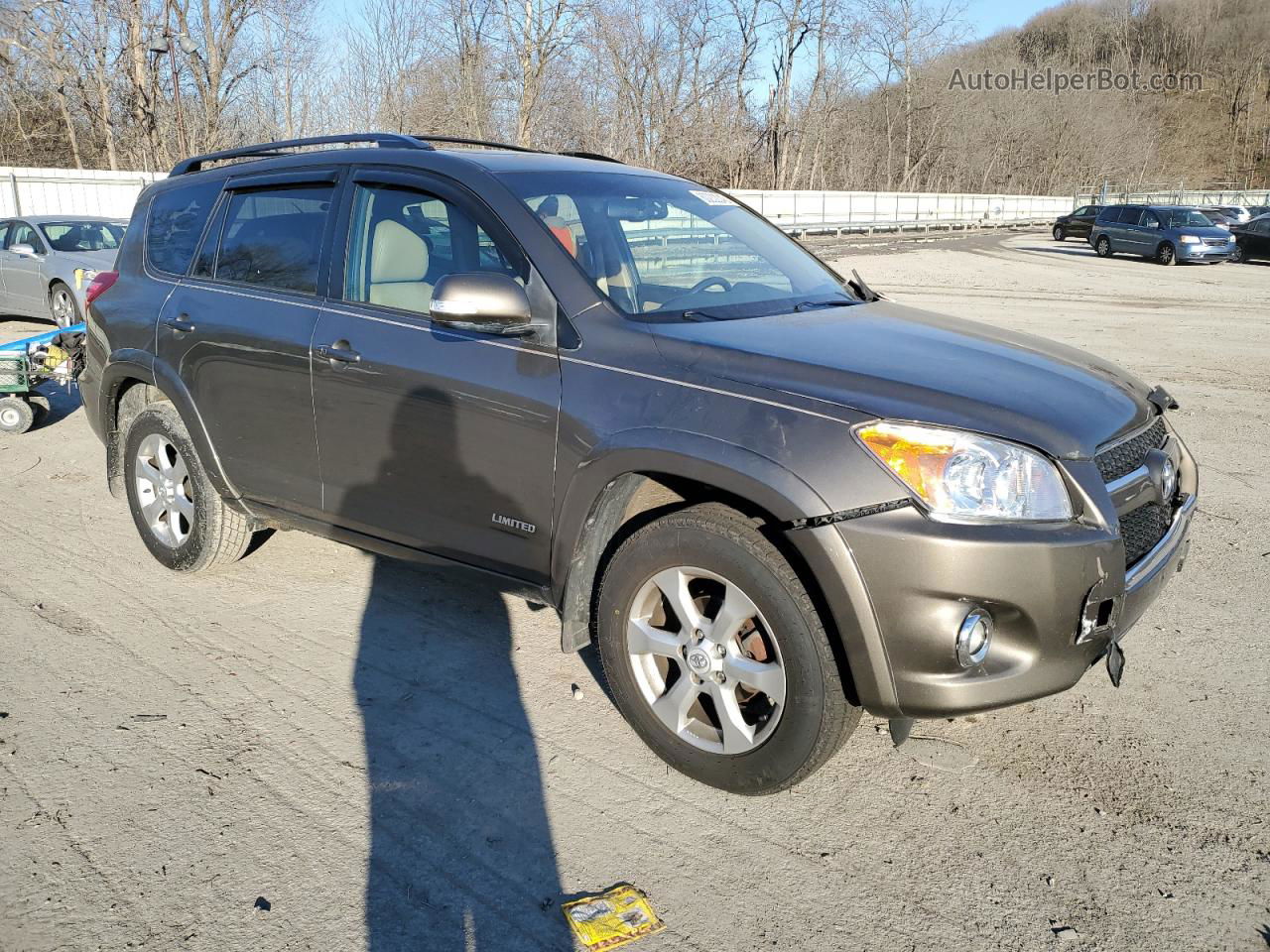 2010 Toyota Rav4 Limited Brown vin: 2T3DF4DV2AW065023