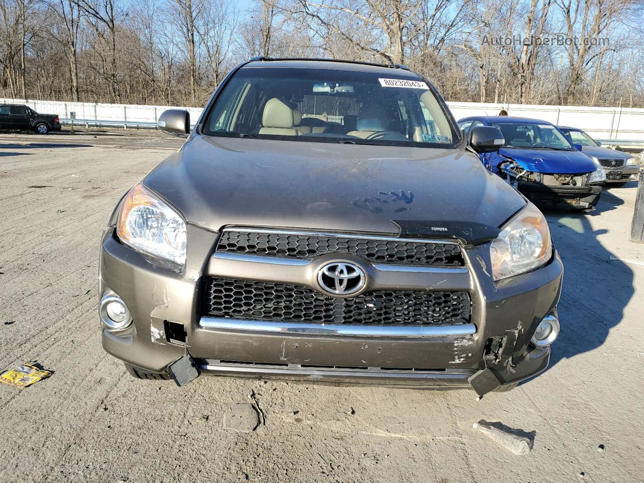 2010 Toyota Rav4 Limited Brown vin: 2T3DF4DV2AW065023