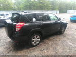 2010 Toyota Rav4 Ltd Black vin: 2T3DF4DV6AW042991