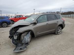 2010 Toyota Rav4 Limited Gold vin: 2T3DF4DV8AW056049