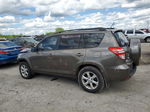 2010 Toyota Rav4 Limited Tan vin: 2T3DF4DVXAW042167