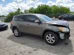 2010 Toyota Rav4 Limited Tan vin: 2T3DF4DVXAW042167