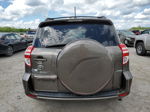 2010 Toyota Rav4 Limited Tan vin: 2T3DF4DVXAW042167