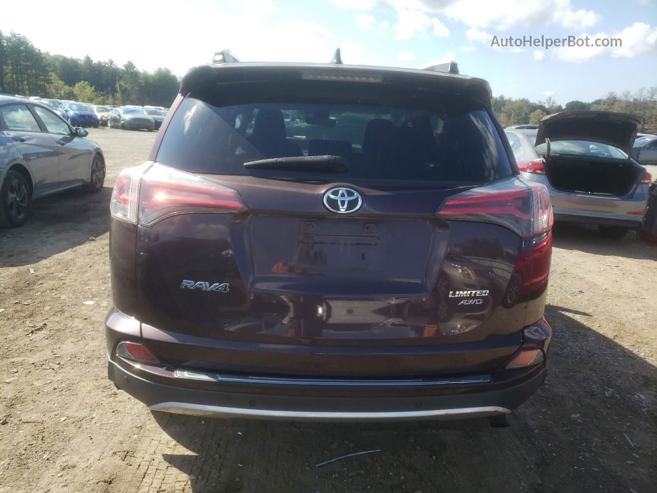 2016 Toyota Rav4 Limited Фиолетовый vin: 2T3DFREV6GW499871