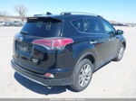 2017 Toyota Rav4 Limited Black vin: 2T3DFREV9HW659050