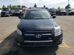 2010 Toyota Rav4 Limited Black vin: 2T3DK4DV0AW032159