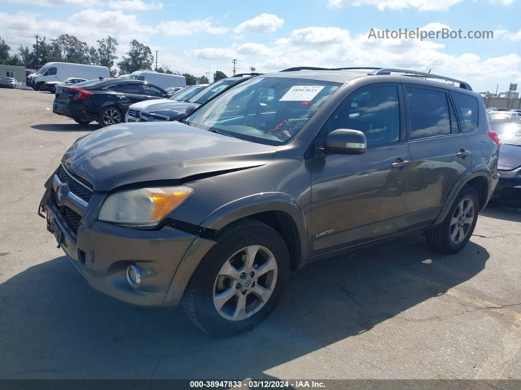 2010 Toyota Rav4 Limited V6 Коричневый vin: 2T3DK4DV0AW032419