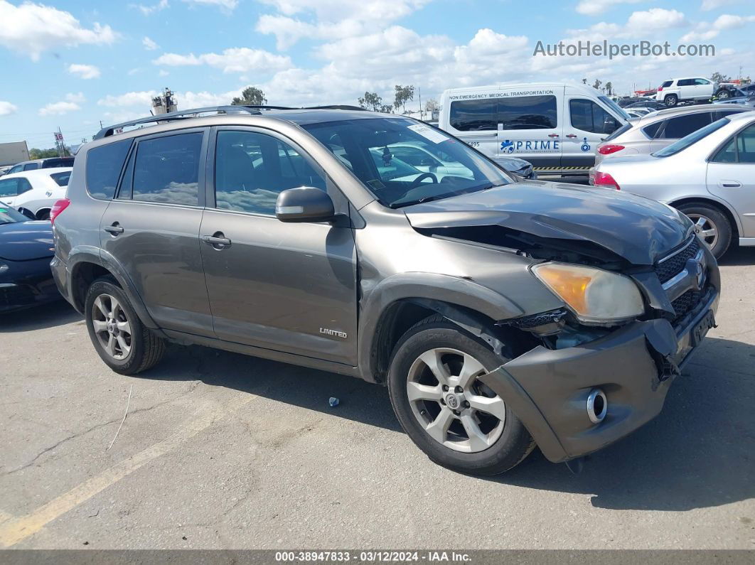 2010 Toyota Rav4 Limited V6 Коричневый vin: 2T3DK4DV0AW032419