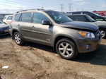 2010 Toyota Rav4 Limited Gray vin: 2T3DK4DV1AW028380