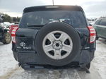 2010 Toyota Rav4 Limited Black vin: 2T3DK4DV5AW028611