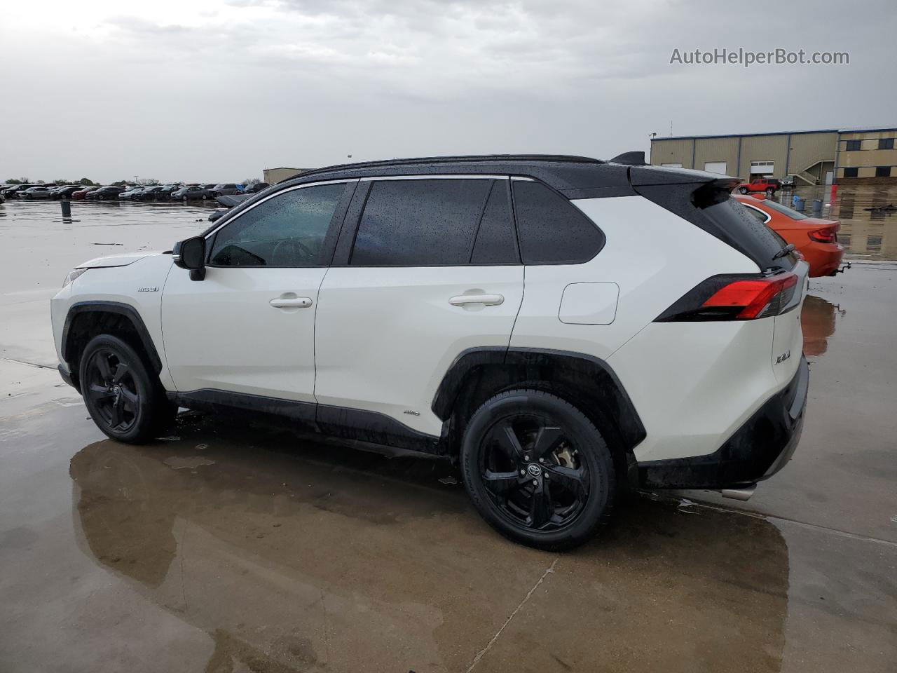 2019 Toyota Rav4 Xse White vin: 2T3EWRFV7KW045656