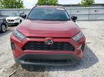 2019 Toyota Rav4 Le Red vin: 2T3F1RFV0KC026600