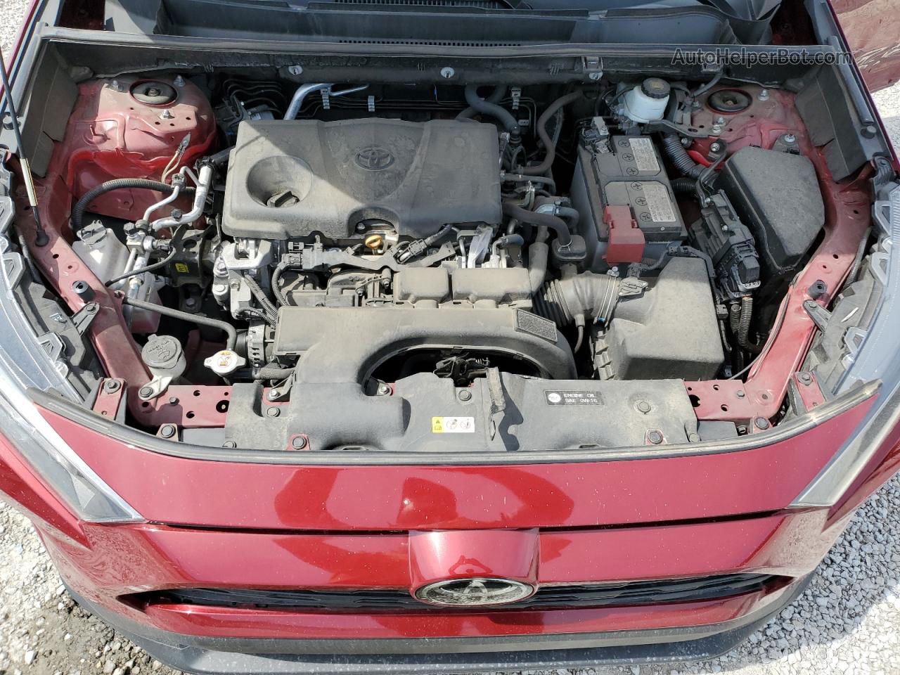 2019 Toyota Rav4 Le Red vin: 2T3F1RFV0KC026600