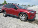 2019 Toyota Rav4 Le Red vin: 2T3F1RFV0KC026600