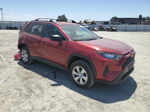 2021 Toyota Rav4 Le Burgundy vin: 2T3F1RFV3MW181773